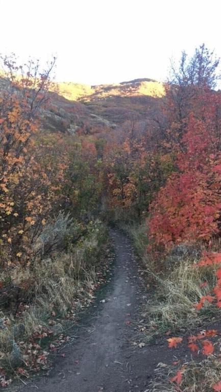 דרפר Stay & Play In The Little Switzerland Of Utah!!! מראה חיצוני תמונה